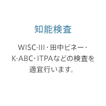 知能検査: WISC-III・田中ビネー・K-ABC・ITPAなどの検査を適宜行います。